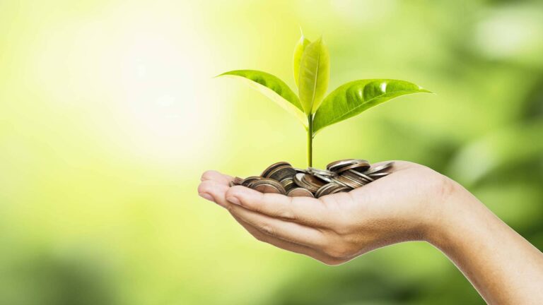 Eco bonus