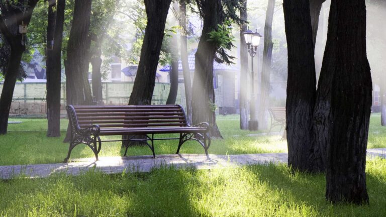 Parco pubblico