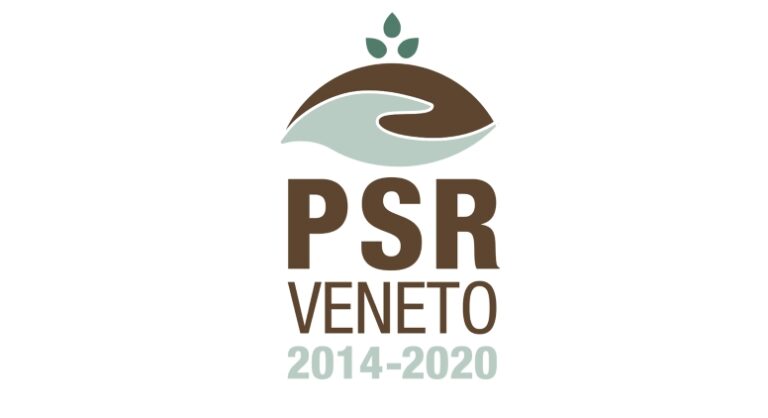 logo grafica