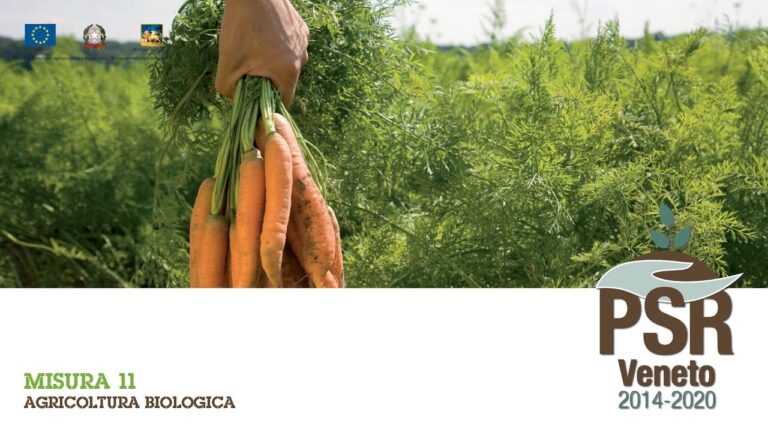 Conversione all’agricoltura biologica