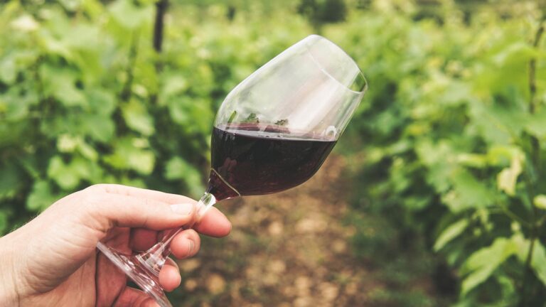 Bicchiere di vino in mezzo alle vigne