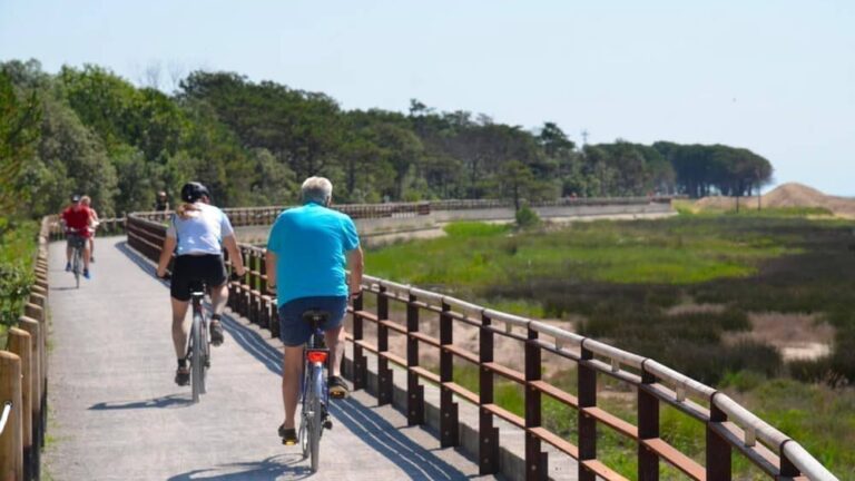 Persone in bicicletta