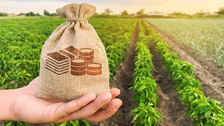 campo con sacchetto di euro