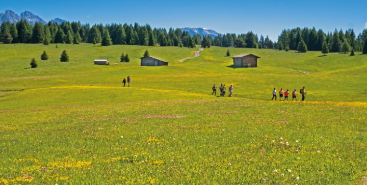 paesaggio montano