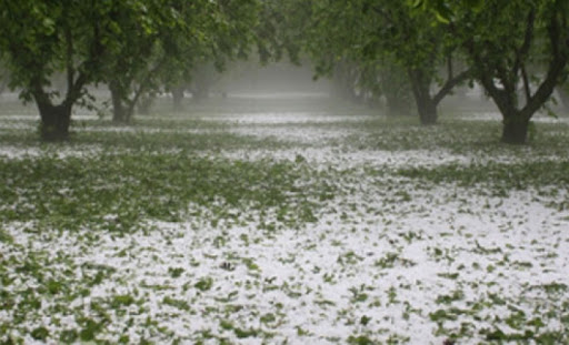 Grandine nel campo