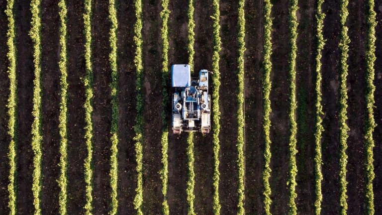 Trattore nel campo di grano