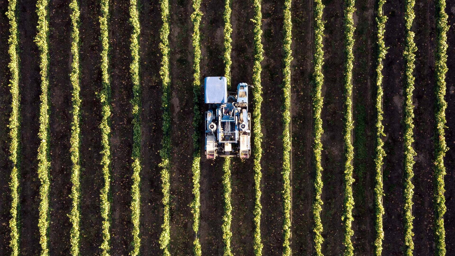 Trattore nel campo di grano