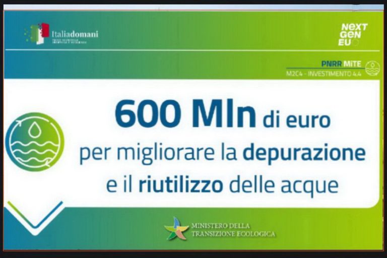 grafica