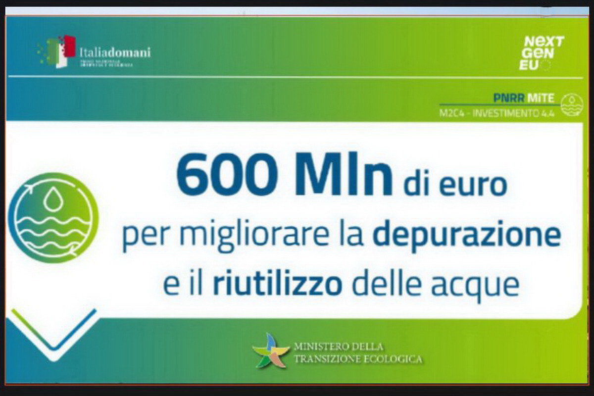 grafica